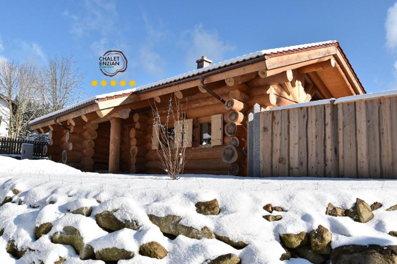 Chalet-Enzian-Bayerwald 阿尔恩布鲁克 外观 照片
